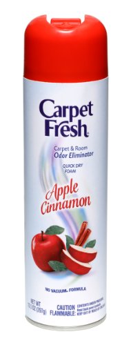Carpet Fresh Quick-Dry Foam 10 OZ Apple Cinnamon
