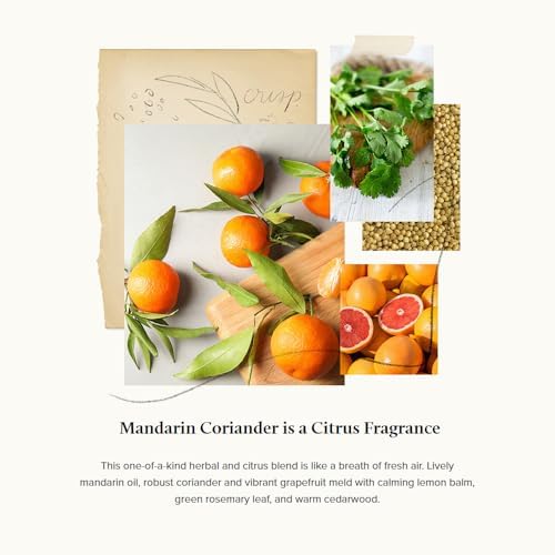 Thymes Countertop Spray 165 Fl Oz Mandarin Coriander
