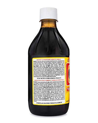 REX Creolina Multi Purpose Cleaner Concentrate 1 Pack