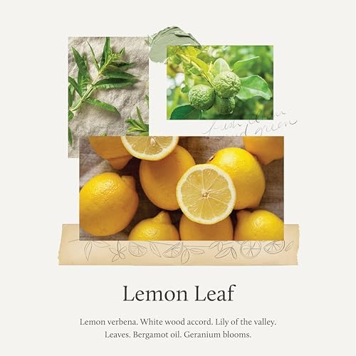 Thymes Countertop Cleaner Spray - Lemon Leaf 165 Fl Oz
