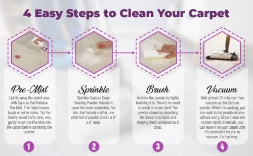 Capture Carpet Total Care Kit 250
