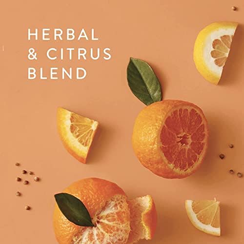 Thymes Countertop Spray 165 Fl Oz Mandarin Coriander