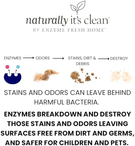 Naturally Its Clean Carpet Stains Odors Cleaner 24oz x2 Pack