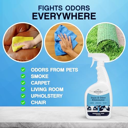 Odorable Stain Odor Eliminator 32 oz - Pet Safe