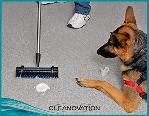 Cleanovation Rug Renovator with Telescoping Handle 1