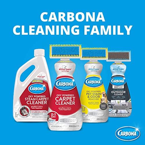 Carbona Pro Care Oxy Powered Outdoor Cleaner 22 Fl Oz 2 Pack