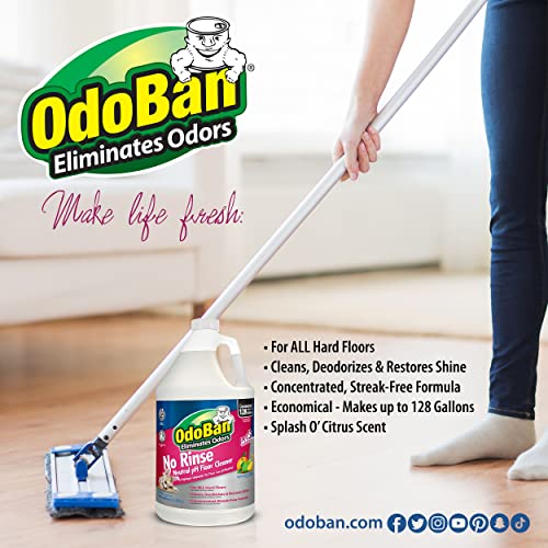 OdoBan Pet Solutions Floor Cleaner Stain Remover Set 1