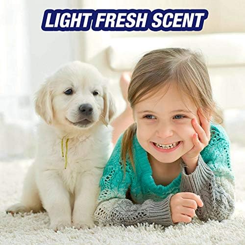 Resolve Ultra Pet Odor and Stain Remover Spray 32oz Pack of 2