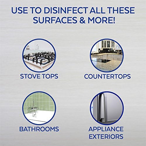 Lysol All Purpose Surface Disinfectant Cleaner 32 oz Lemon Breeze