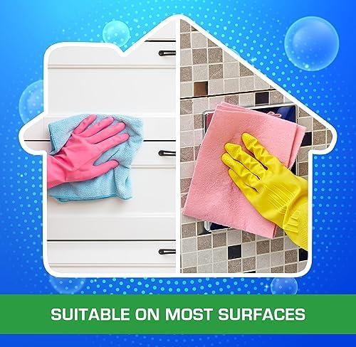 Mr Clean Multi Purpose 2X Concentrated Floor Cleaner