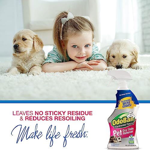OdoBan Pet Solutions Floor Cleaner Stain Remover Set 1