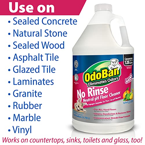 OdoBan Pet Solutions Floor Cleaner Stain Remover Set 1
