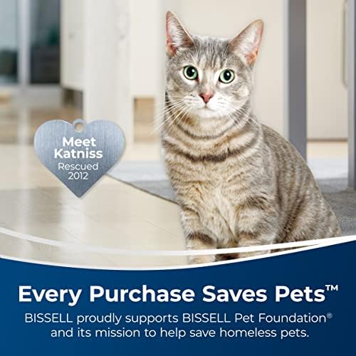 Bissell Simply Upright 48 Fl Oz Carpet Cleaner