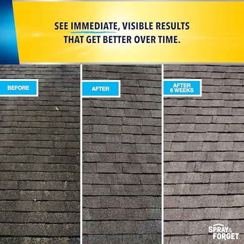 Spray Forget 1-Gallon Roof Cleaner Concentrate 1