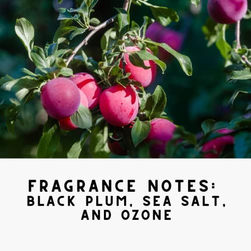 The Diamond Life Noir Luxe Carpet Powder Candle Bundle