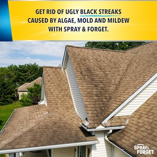 Spray Forget 1-Gallon Roof Cleaner Concentrate 1