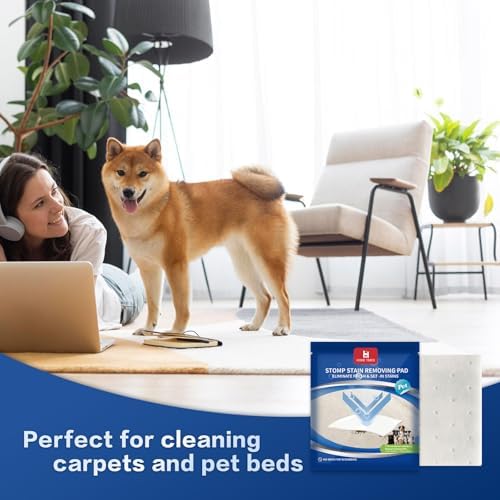 Home Times Carpet Stain Lifting Pads 20 Count Pack