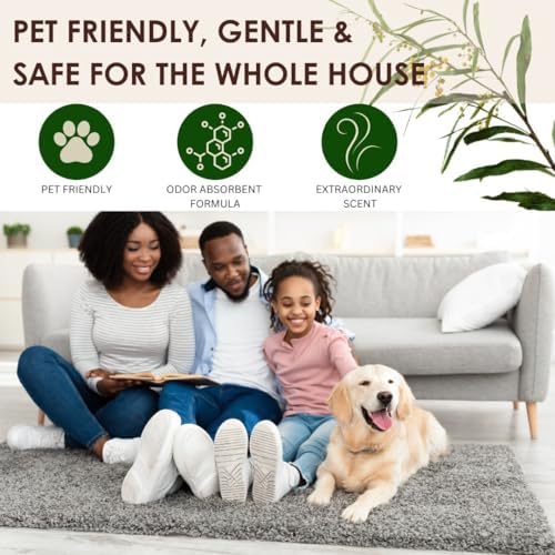 Saturday Morning Fresh Carpet Deodorizing Powder - Safe for Kids Pets