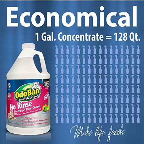 OdoBan Pet Solutions Floor Cleaner Stain Remover Set 1
