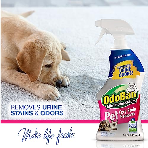OdoBan Pet Solutions Floor Cleaner Stain Remover Set 1