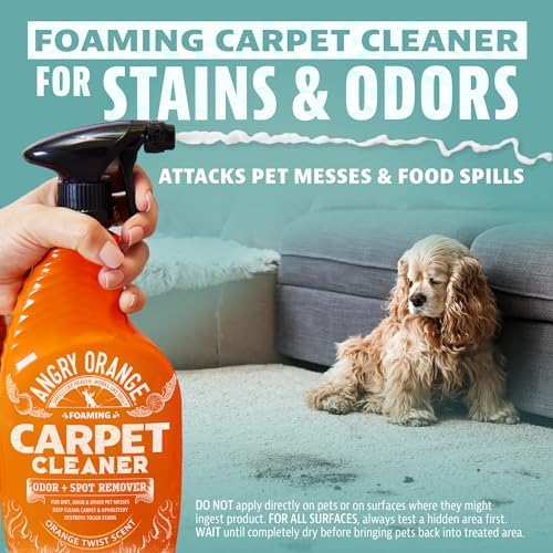 ANGRY ORANGE Foaming Cleaner 24 oz Value Pack