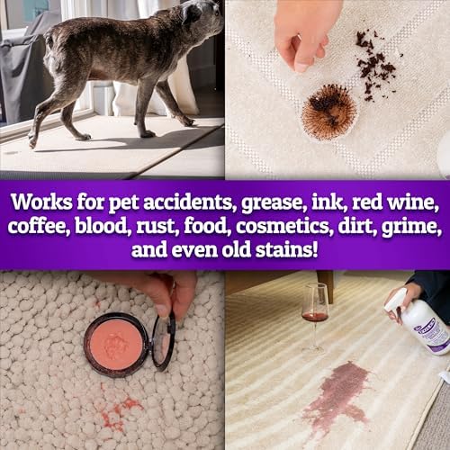 FOLEX 2 Pack Carpet Spot Cleaner Spray Pet Stain Remover 34OZ