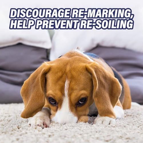 Resolve Ultra Pet Odor and Stain Remover Spray 32oz Pack of 2