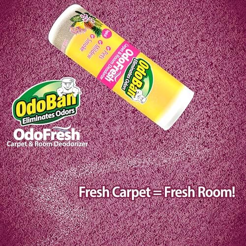 OdoBan OdoFresh Deodorizer Powder 2 Pounds Tropical Scent