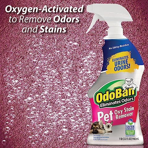 OdoBan Pet Solutions Floor Cleaner Stain Remover Set 1